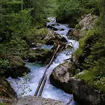 Appartement Loft Am Hallstatt