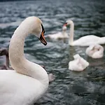 Loft Am Appartement Hallstatt