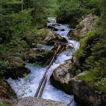 Apartamento Loft Am Hallstatt