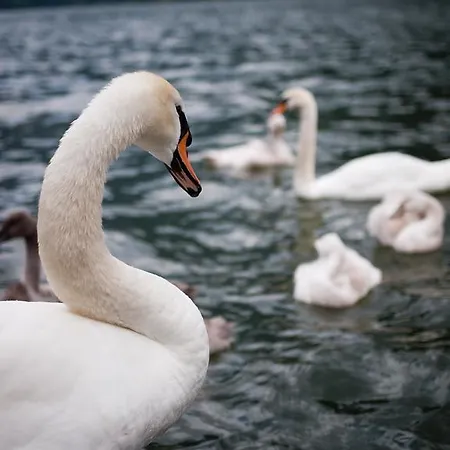 Loft Am Apartamento Hallstatt