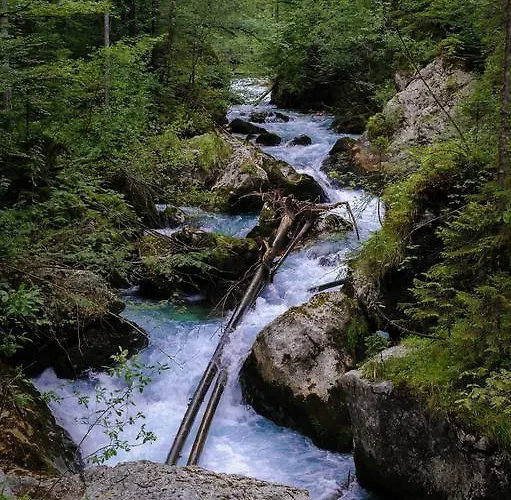 Daire Loft Am Hallstatt